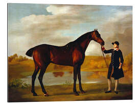 Tableau en plexi-alu Cheval du duc de Marlborough