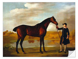 Sticker mural Cheval du duc de Marlborough