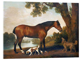 Akrylglastavla  Horse and two dogs - George Stubbs