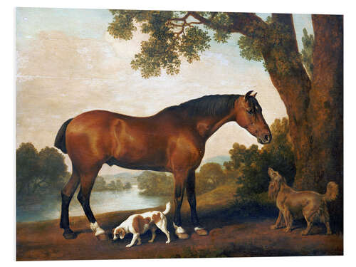 Foam board print Horse and Two Dogs