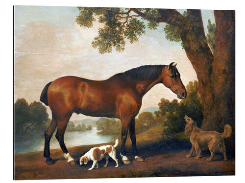 Gallery print Horse and Two Dogs