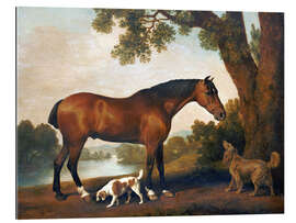 Tableau en plexi-alu Cheval et deux chiens