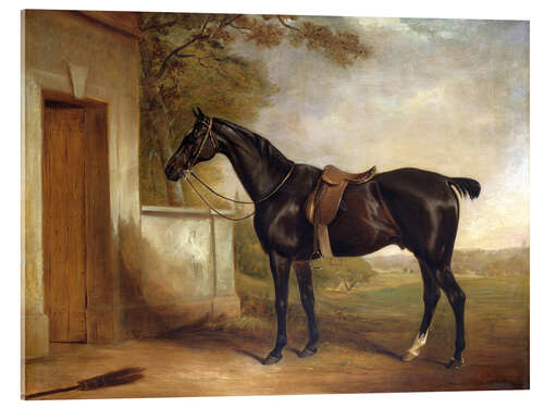 Akrylbilde Spenne, Lord Cheshams jakthest, 1836