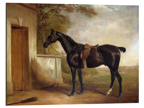 Stampa su alluminio Buckle, il cavallo da caccia di Lord Chesham, 1836