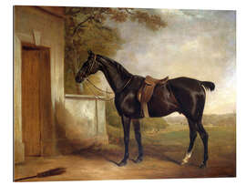 Gallery print Buckle, Lord Chesham&#039;s hunting horse, 1836