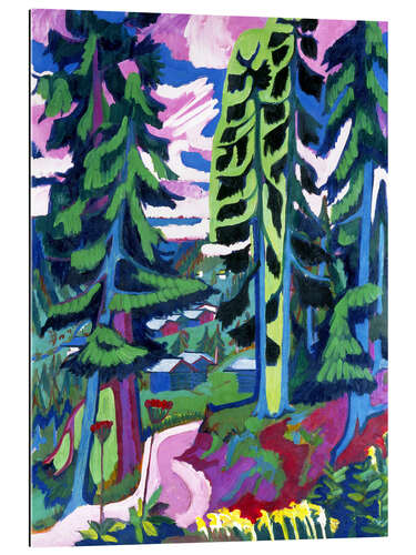 Gallery print Wildboden, mountain forest