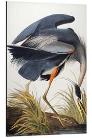 Magnettafel Graureiher