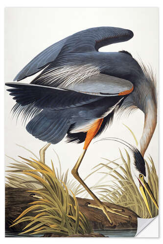 Wall sticker Great Blue Heron