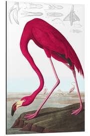 Magnettafel Kubaflamingo aus "The Birds of America"