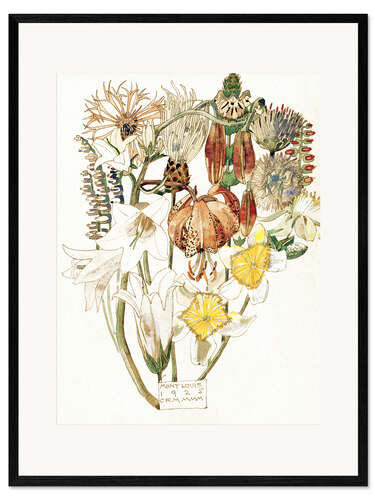 Innrammet kunsttrykk Mont Louis - Flower Study
