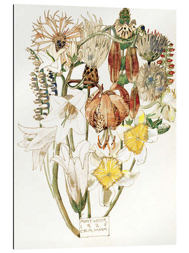 Galleriprint Mont Louis - Flower Study