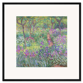 Gerahmter Kunstdruck Irisbeet in Monets Garten, 1900