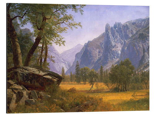 Alubild Yosemite Valley