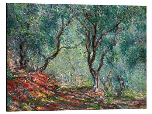 Tableau en aluminium Bois d'olivier dans le jardin de Moreno