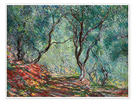 Poster Bois d'olivier dans le jardin de Moreno - Claude Monet