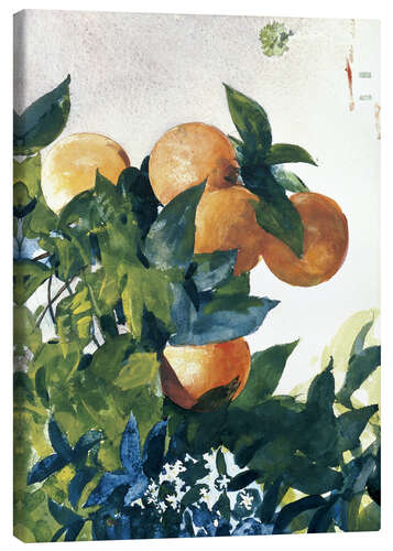 Canvas-taulu Oranges on a Branch