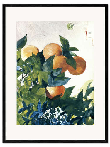 Ingelijste kunstdruk Oranges on a Branch