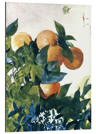 Magnettafel Orangenzweig