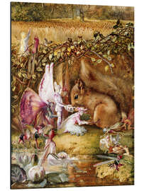 Magnettafel Das verletzte Eichhörnchen