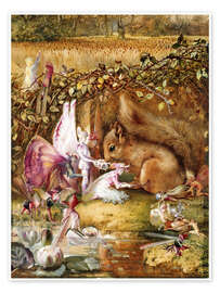 Poster  L&#039;écureuil blessé - John Anster Fitzgerald