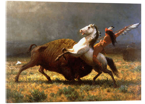 Acrylic print The Last of the Buffalos