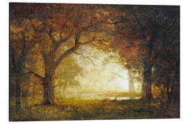 Magnettafel Sonnenaufgang im Wald