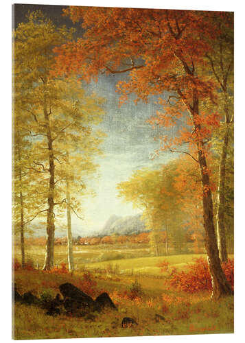 Tableau en verre acrylique Comté d'Oneida en automne, New York