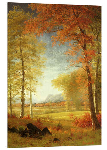 Gallery print Autumn in Oneida County, New York