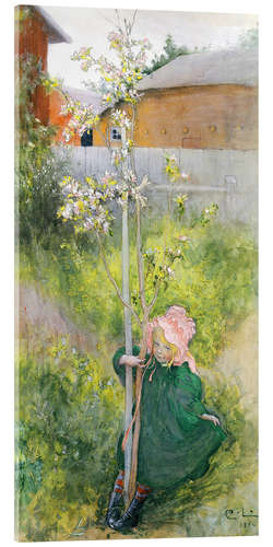 Obraz na szkle akrylowym Appleblossom