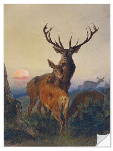 Wall sticker A Stag with Deer at Sunset