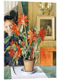 Akrylbillede Britas kaktus - Carl Larsson