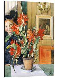 Magnettafel Britas Kaktus, 1904