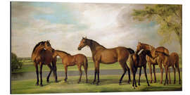 Aluminium print Mares, foals and an approaching storm