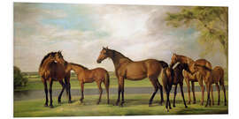 Foam board print Mares, foals and an approaching storm