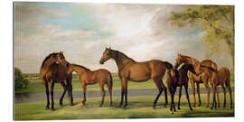 Galleriprint Mares, foals and an approaching storm