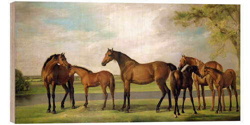 Wood print Mares, foals and an approaching storm