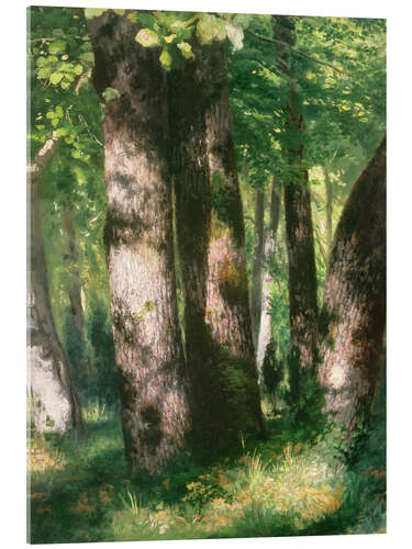 Quadro em acrílico In the Forest of Fontainebleau