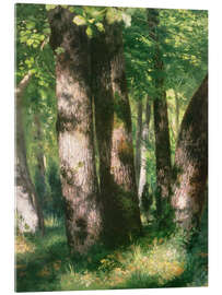 Acrylglas print In the Forest of Fontainebleau