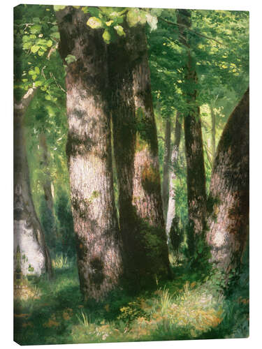 Canvastavla In the Forest of Fontainebleau