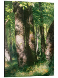 Magnettafel Wald von Fontainebleau