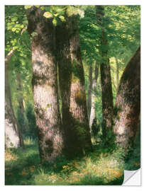 Selvklebende plakat In the Forest of Fontainebleau