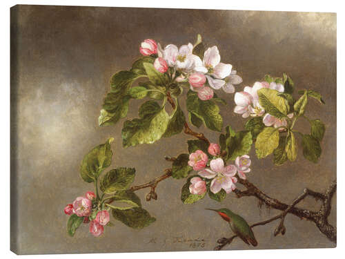 Canvas print Apple Blossoms and a Hummingbird