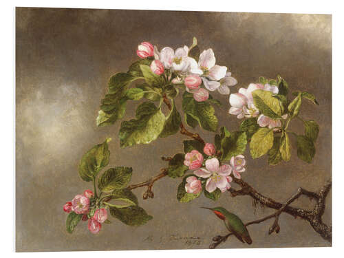 Foam board print Apple Blossoms and a Hummingbird