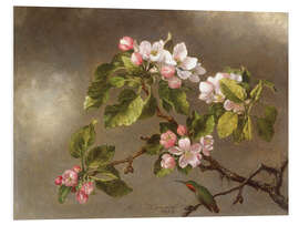 Foam board print Apple Blossoms and a Hummingbird