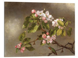 Gallery print Apple Blossoms and a Hummingbird