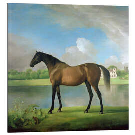 Tableau en plexi-alu Hunter of Viscount Bolingbroke