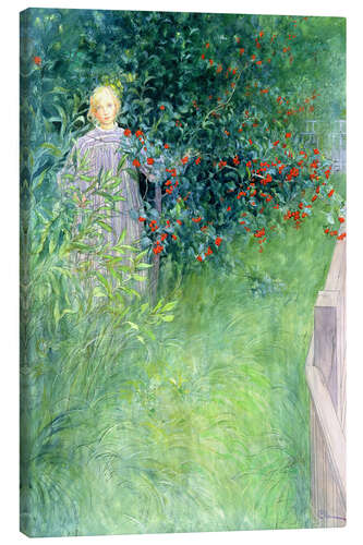 Canvas print In the Hawthorn Hedge