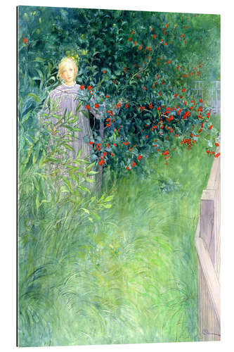 Quadro em plexi-alumínio In the Hawthorn Hedge