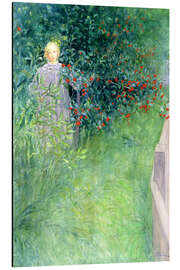 Magnettafel In der Weißdornhecke