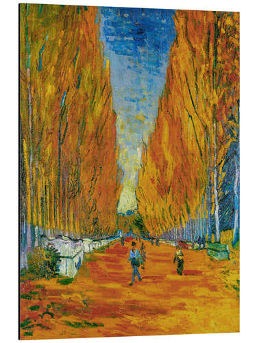 Aluminium print L'Allee des Alyscamps, Arles